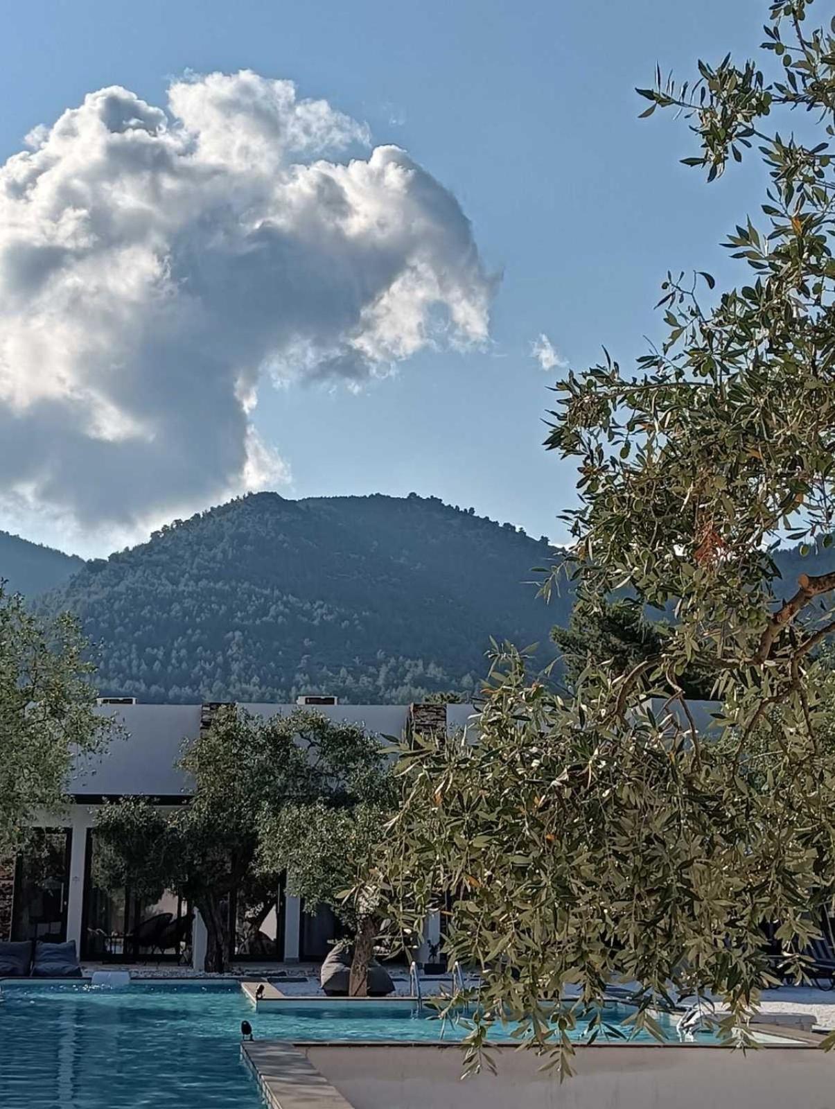 The Olive Hills Hotel Skala Rachoni  ภายนอก รูปภาพ
